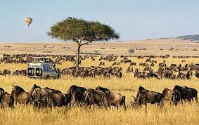 masai mara & serengeti natonal park